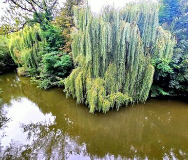 Wasserblick | Erstbezug | Maisonette-Stil | Balkon | Stellplatz - Foto 4