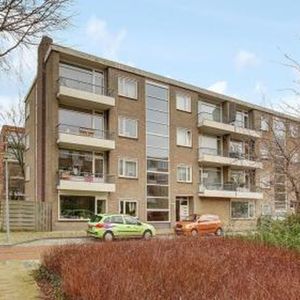 Lievenshof 1816 KJ Alkmaar - Foto 2