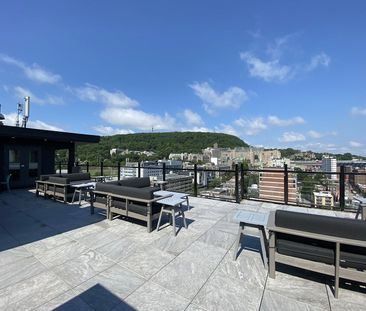 625 Milton Street, Montréal, QC - Photo 3