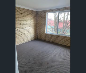 Fresh Unit - Photo 1