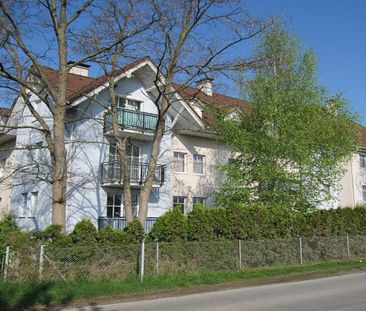 TRAISMAUER VI - Photo 4