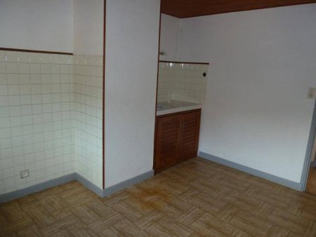 Location appartement t2 54 m² à Badaroux (48000) - Photo 3