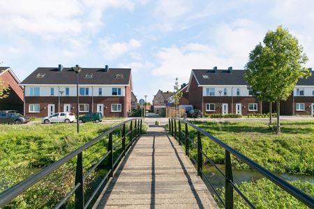 Meander 32 - Photo 5