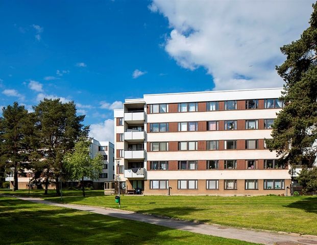 Vimbroplan 14 - Photo 1