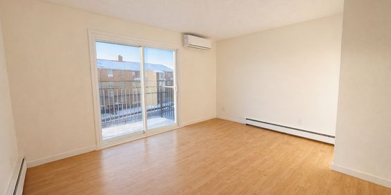 41/2 Central - Photo 3
