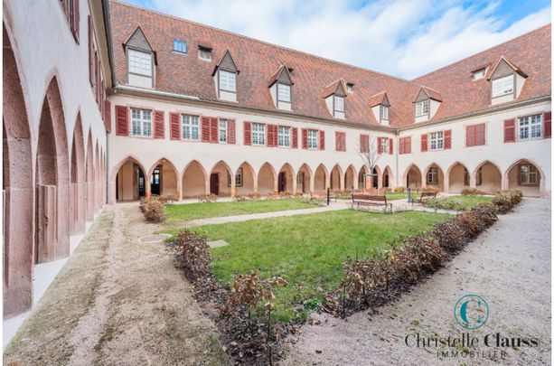 Appartement - SELESTAT - 52m² - 1 chambre - Photo 1