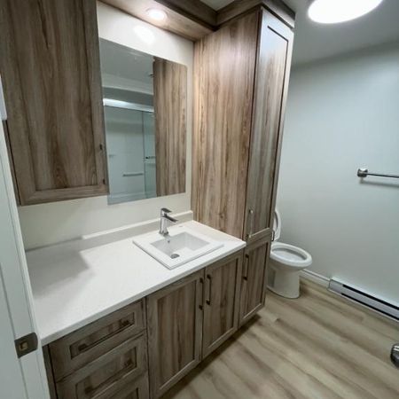 Beau grand 5 1/2 entièrement rénové - Photo 3