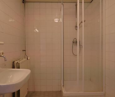 Utrechtse Veer - Photo 3