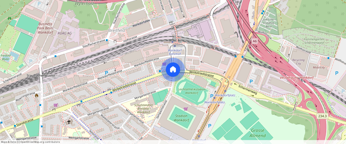 Winkelriedstr, 13, 3014 Bern