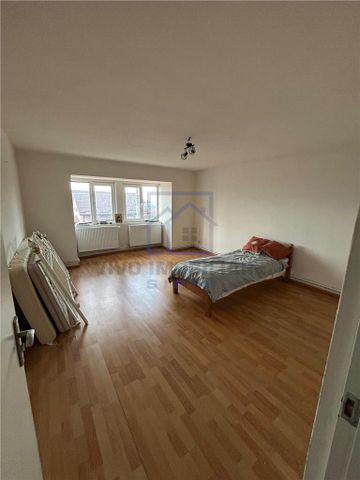 Casa de inchiriat in Sibiu - 6 camere, teren 1030 mp, pet friendly, zona Viile Sibiului de inchiriat - Fotografie 4