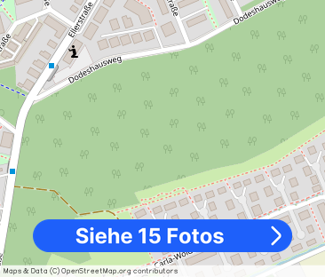 Charmante vier Zimmer Wohnung in der Dodesheide - Foto 1