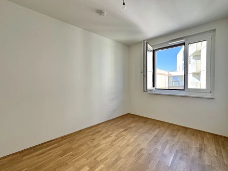 Gretls Garten – Miete mit Kaufoption – Erstbezug nahe Badeteich Hirschstetten - Photo 2