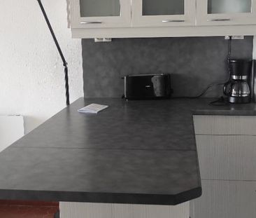 Location Appartement 2 pièces 31m² LE BARCARES 66420 - Photo 3