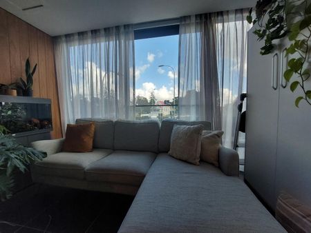 1 Bedroom mordern apartment - Handbag dog or Cat is welcome! - Photo 4