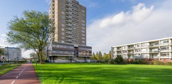 Robert Kochlaan 2035 Haarlem - Foto 2