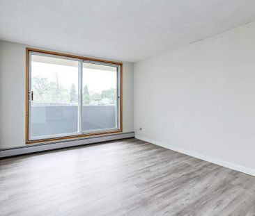 Renovated Suite - 2 Bedroom - Photo 6