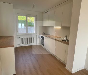 Completely renovated apartment of 65 m2 - Photo 1