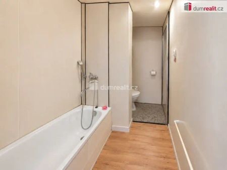 Útulný byt 1+1 v Ústí nad Labem s výbornou občanskou vybaveností - Photo 3