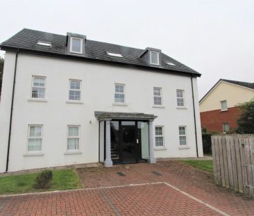 20 Old Church Square - Photo 6