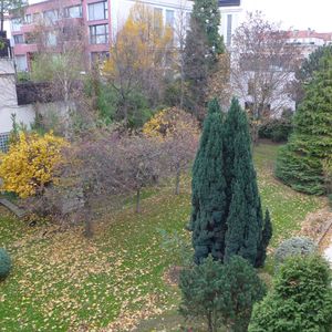 Location studio Hespérides Montrouge - Photo 2