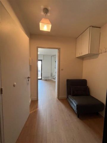 Location appartement 1 pièce - 25m² à Benodet (29950) - Photo 3