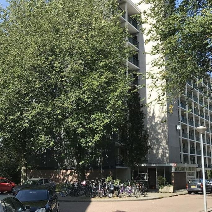 Amerbos 0ong, 1025 Amsterdam, Nederland - Foto 1