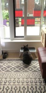 Appartement/condo 4 1/2 - Photo 3