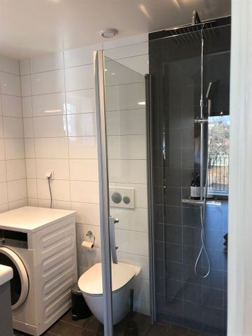 Svanbergsgatan - Photo 3