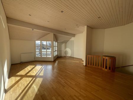 FAMILY ROOM WITH SAUNA, CHEMINÉE AND STUDIO - Foto 2