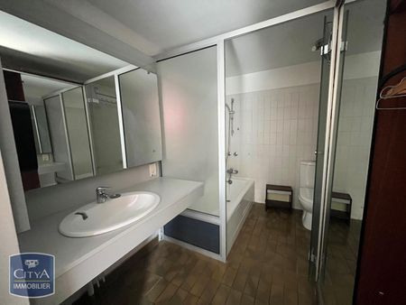 Location Appartement 1 pièce 21m² CHASSENEUIL DU POITOU 86360 - Photo 3