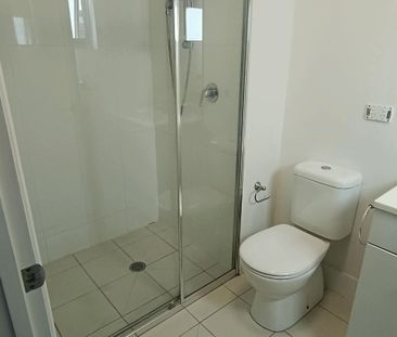 2 bed/2 bath Apartment in Great Location - Photo 6