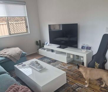 Labrador - Photo 1