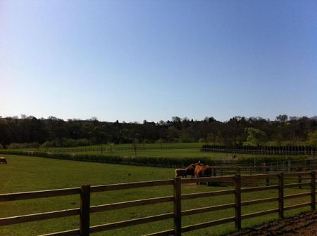 2 bedroom bungalow to rent - Photo 3