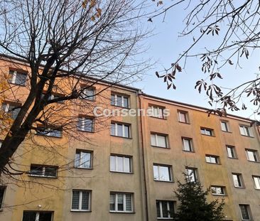 Katowice - Zdjęcie 5