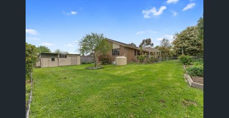 Renovated Family Home - Photo 5