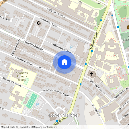 99 Eglantine Avenue, Flat 2, Belfast, BT9 6EX