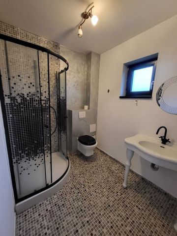 Pet friendly! Casa de inchiriat, Cristian, Brasov - Photo 5