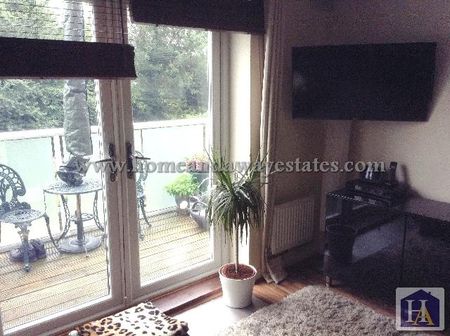 Studio to rent - Photo 4