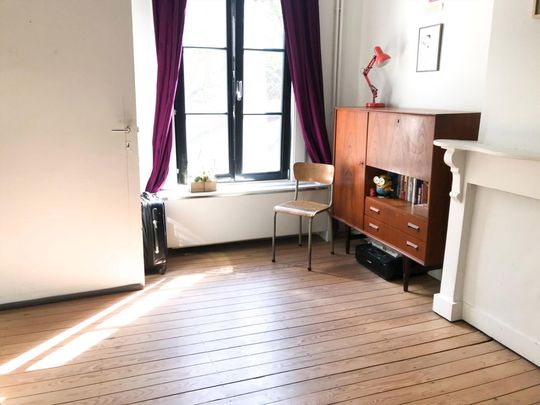 Charmant herenhuis aan het Citadelpark - Foto 1