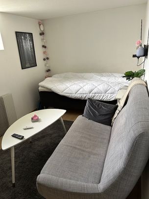 Smältaregatan, Halmstad - Photo 1