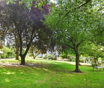 3 bedroom apartment to rent - Photo 1