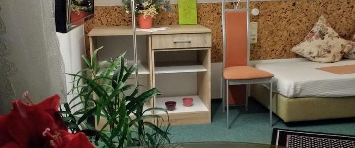 möblierte Einraumw. Balkon, neue Küche, warm incl. NK339€, WLAN - Foto 1