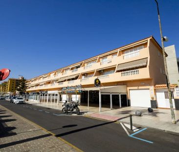 Candelaria - Foto 4