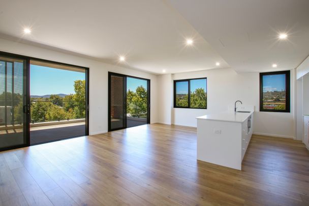 203/425 David Street, Albury NSW 2640 - Townhouse For Rent | Domain - Photo 1