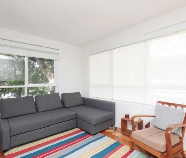 Immaculate and Well Positioned Studio - Photo 1