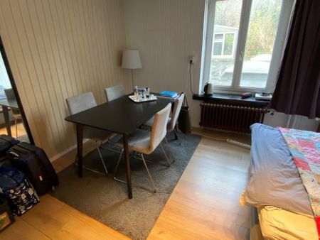 Brusselsestraat 16B02, 6211 PE Maastricht - Photo 4