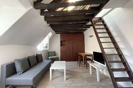 Studio avec mezzanine de 18,51m2 - Photo 3