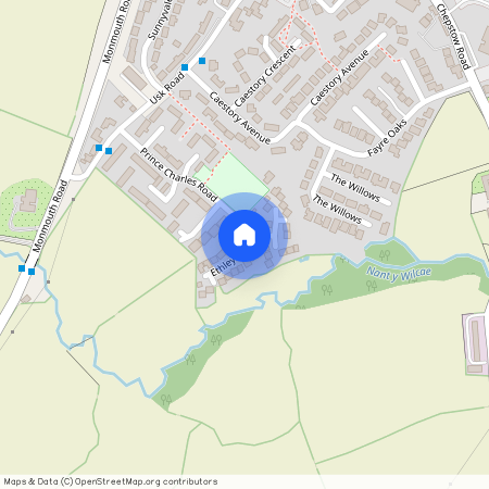 Ethley Drive, Raglan NP15