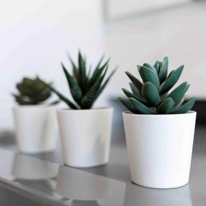 Studio rénové - Métro Crémazie - Photo 2