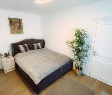Vila Rompetrol Traian - Fotografie 4